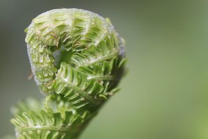 Top 50 4rabet App Review Tips Review 2026: Bonus, App, Withdrawal Tested